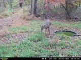 75601 Eighth Street - Photo 20