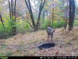 75601 Eighth Street - Photo 24