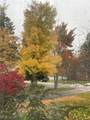 4480 Ammon Road - Photo 40