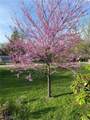 4480 Ammon Road - Photo 41