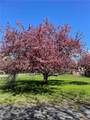 4480 Ammon Road - Photo 42
