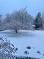 4480 Ammon Road - Photo 43