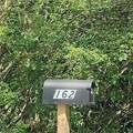 162 12th Street - Photo 19