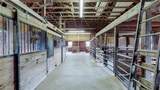3737 Wile Road - Photo 45