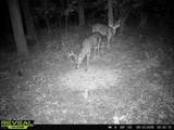 600 Branch Road - Photo 36