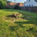 11516 Thrush Avenue - Photo 3
