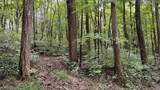 0 Township Rd. 65 - Photo 28