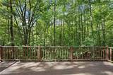 13774 Oak Tree Trail - Photo 23
