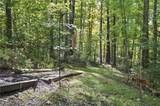 13774 Oak Tree Trail - Photo 39