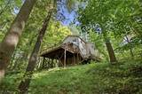 13774 Oak Tree Trail - Photo 42