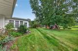 3305 Banyan Street - Photo 32