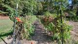 8097 Ore Hill Road - Photo 11