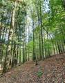 8097 Ore Hill Road - Photo 17