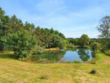 149 Medina Line Road - Photo 34