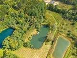 149 Medina Line Road - Photo 40