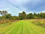 46868 Butternut Ridge Road - Photo 11