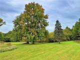 46868 Butternut Ridge Road - Photo 12