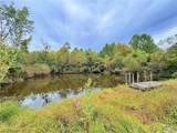 46868 Butternut Ridge Road - Photo 14