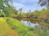 46868 Butternut Ridge Road - Photo 15