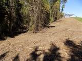 0 Maple Drive - Photo 7