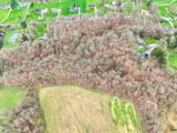  Rohrer Road - Photo 7