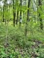 14568 Mt Perry Road - Photo 5