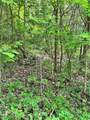 14568 Mt Perry Road - Photo 7
