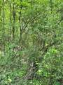 14568 Mt Perry Road - Photo 9