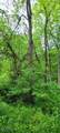  Stockdale Lane - Photo 25