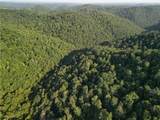 1885 Blue Knob Road - Photo 8