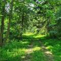  County Rt 22 - Photo 14