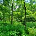  County Rt 22 - Photo 26