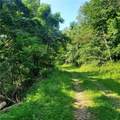  County Rt 22 - Photo 6