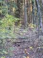  Maplewood Avenue - Photo 3