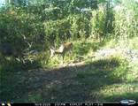  Deersville Ridge Road - Photo 18