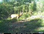  Deersville Ridge Road - Photo 19