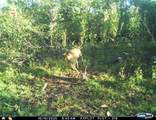  Deersville Ridge Road - Photo 22