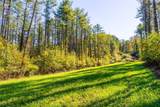  Deersville Ridge Road - Photo 28