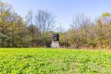  Deersville Ridge Road - Photo 34