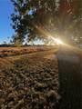 399 Sandtrap Circle - Photo 33