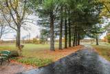 10685 Limeridge Road - Photo 41
