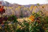  Plum Road - Photo 14