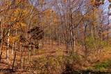  Plum Road - Photo 34