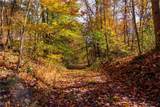  Plum Road - Photo 37