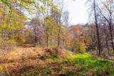  Plum Road - Photo 40