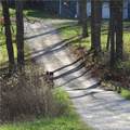 1121 Center Street - Photo 3