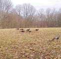 0 Sealover Hollow Road - Photo 14