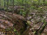 0 Clark Road - Photo 5