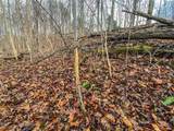 0 New Cut Rd - Photo 29