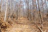  Sheepskin Ridge Road - Photo 18